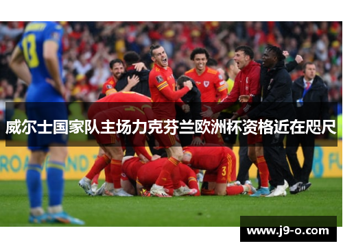 威尔士国家队主场力克芬兰欧洲杯资格近在咫尺