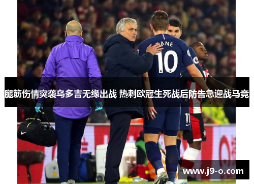 腿筋伤情突袭乌多吉无缘出战 热刺欧冠生死战后防告急迎战马竞 腿筋伤情突袭乌多吉无缘出战 热刺欧冠生死战后防告急迎战马竞